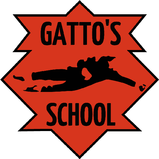 Gatto's School